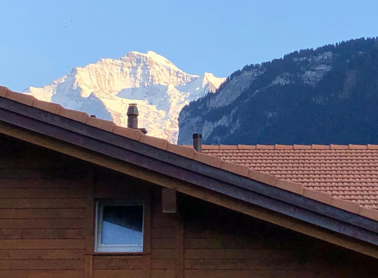 S&P Mountain View Apartment 1 Wilderswil Dış mekan fotoğraf