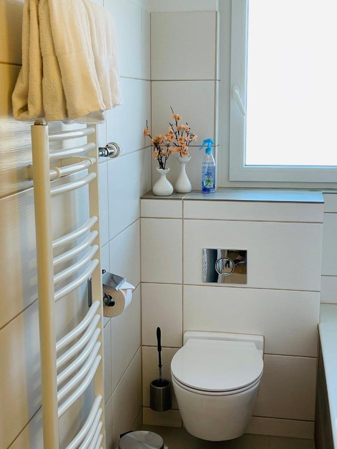 S&P Mountain View Apartment 1 Wilderswil Dış mekan fotoğraf